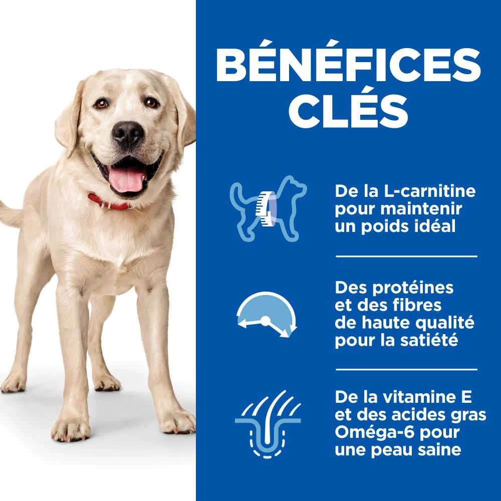 HILL'S Science Plan Light Large Adult au Poulet - Croquettes pour chien – Image 4