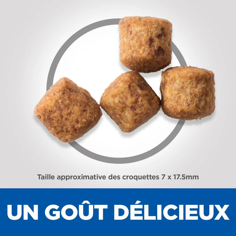 HILL'S Science Plan Light Large Adult au Poulet - Croquettes pour chien – Image 6