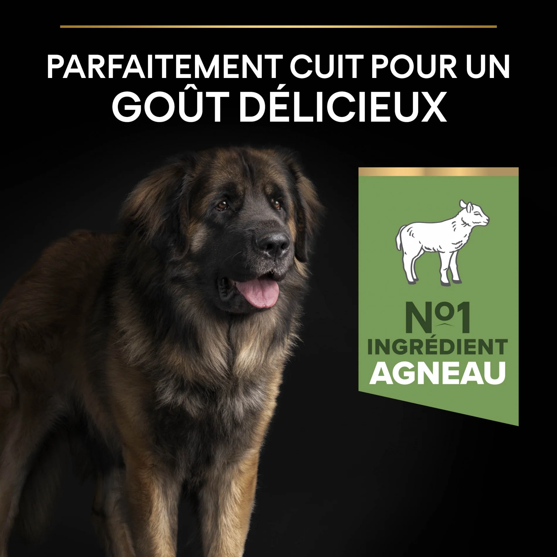 PRO PLAN Sensitive Digestion Large Robust Adult à la Agneau - Croquettes pour chien – Image 3