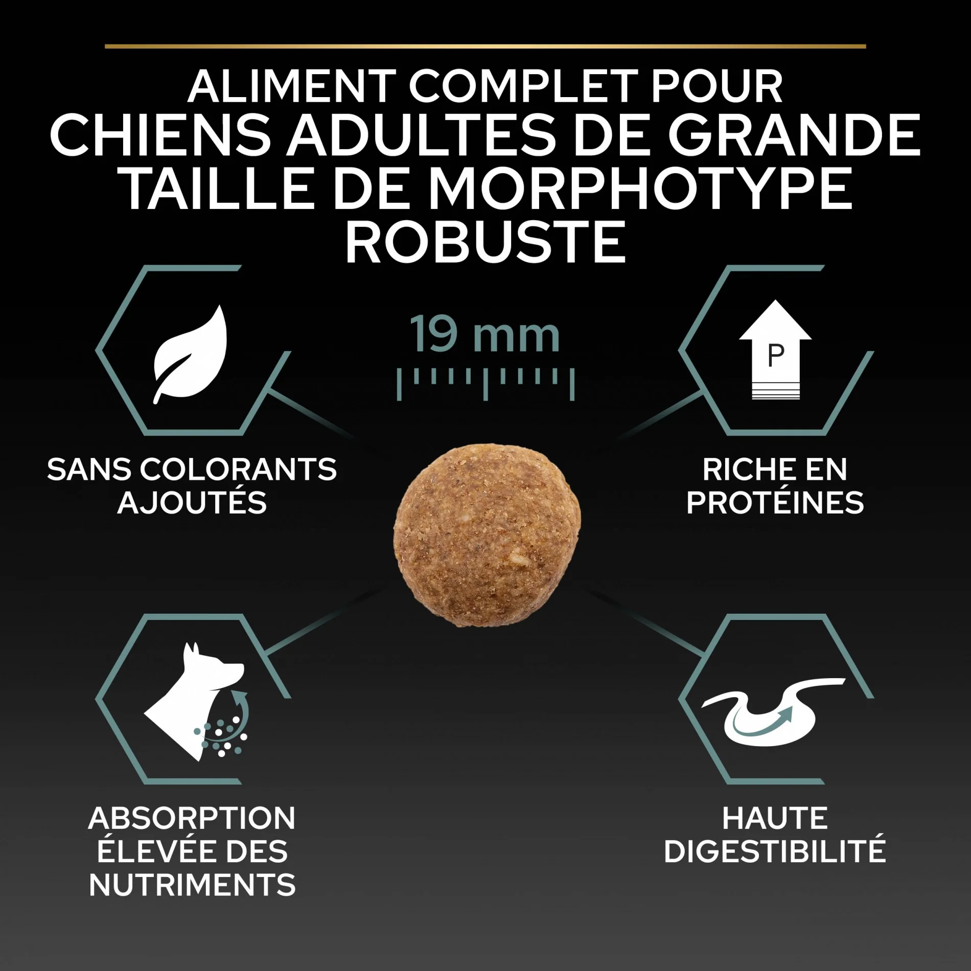 PRO PLAN Sensitive Digestion Large Robust Adult à la Agneau - Croquettes pour chien – Image 4