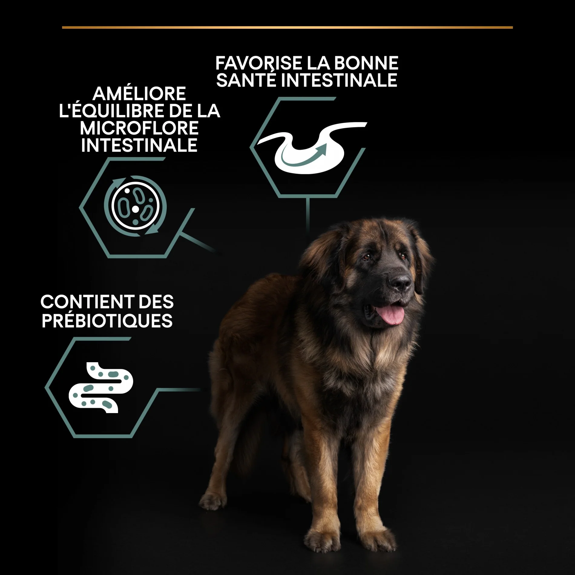 PRO PLAN Sensitive Digestion Large Robust Adult à la Agneau - Croquettes pour chien – Image 5