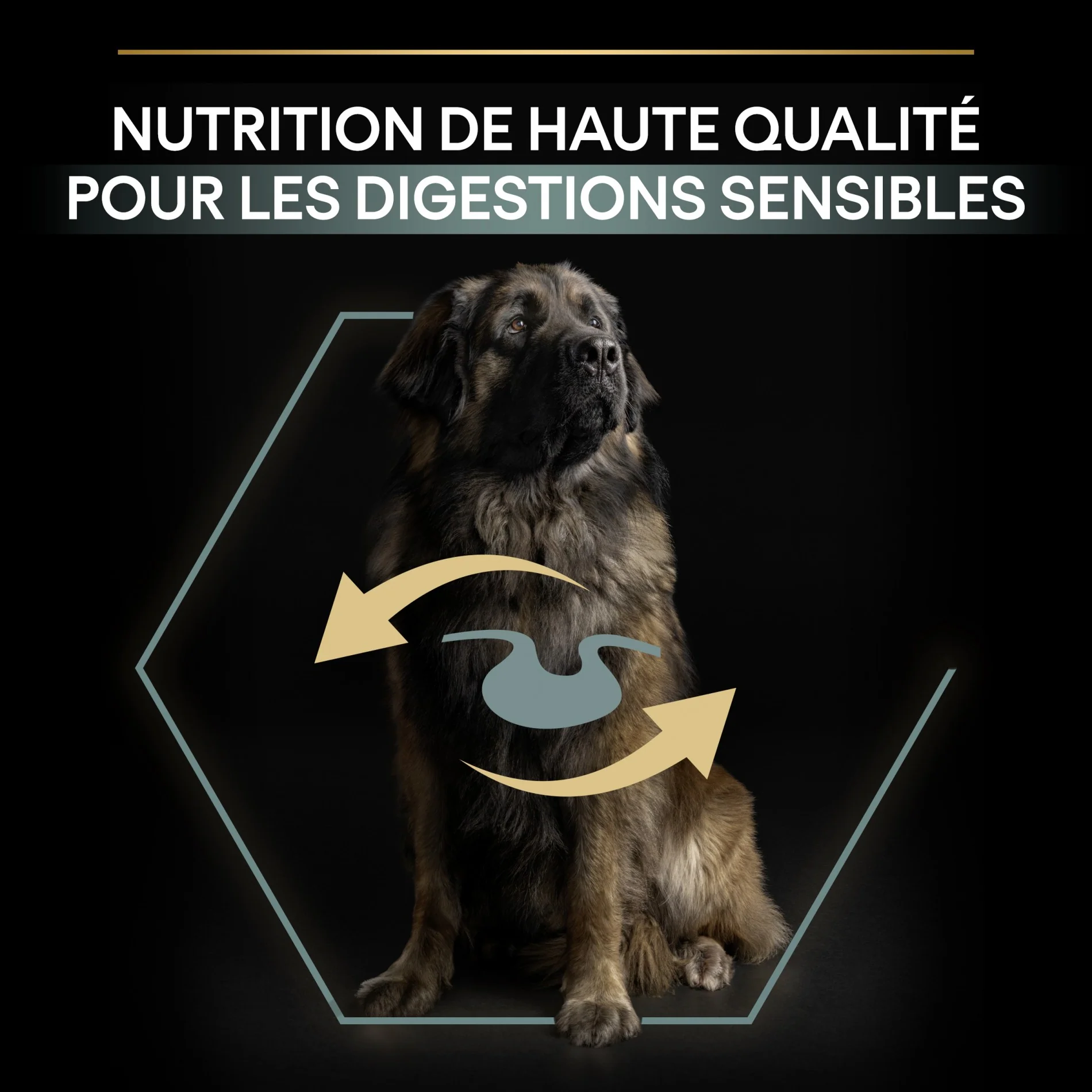 PRO PLAN Sensitive Digestion Large Robust Adult à la Agneau - Croquettes pour chien – Image 7