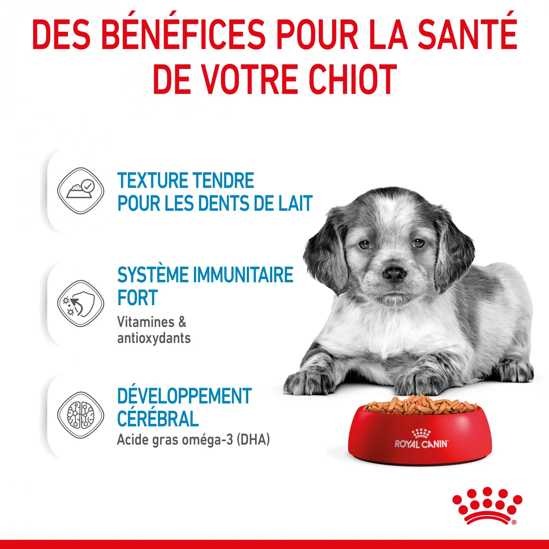 Royal Canin Medium Puppy en Sauce - Pâtée pour chiot – Image 5