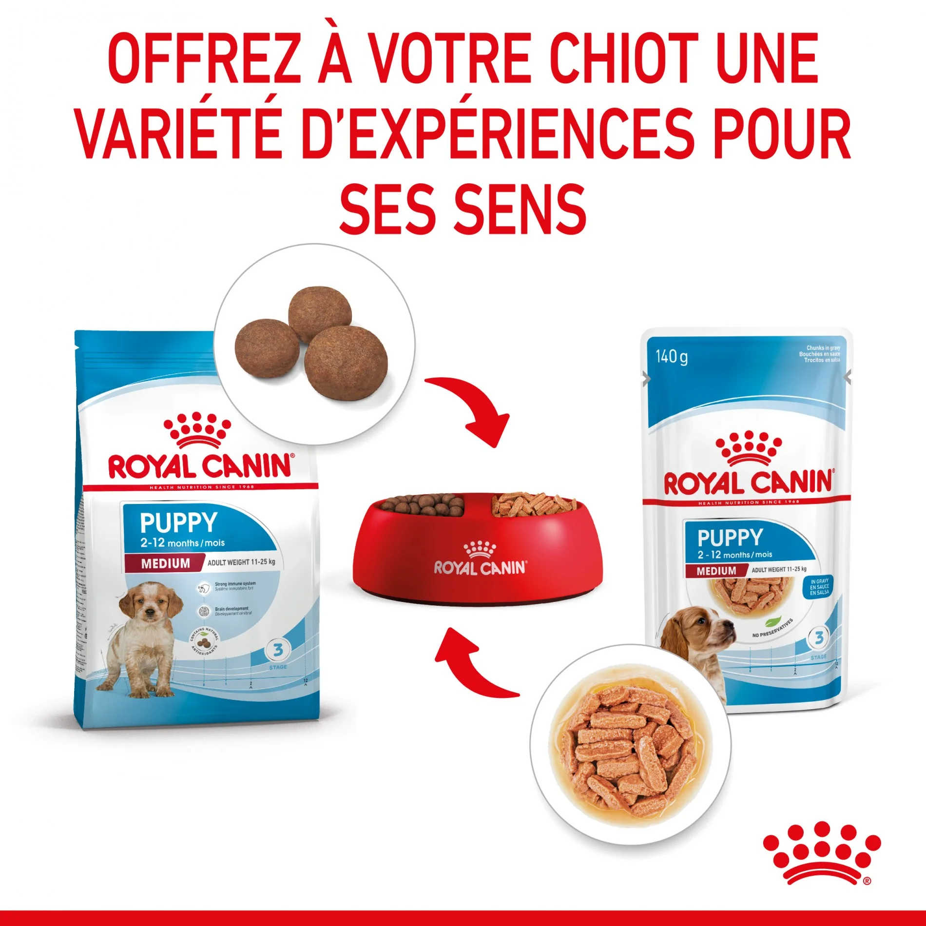 Royal Canin Medium Puppy en Sauce - Pâtée pour chiot – Image 6