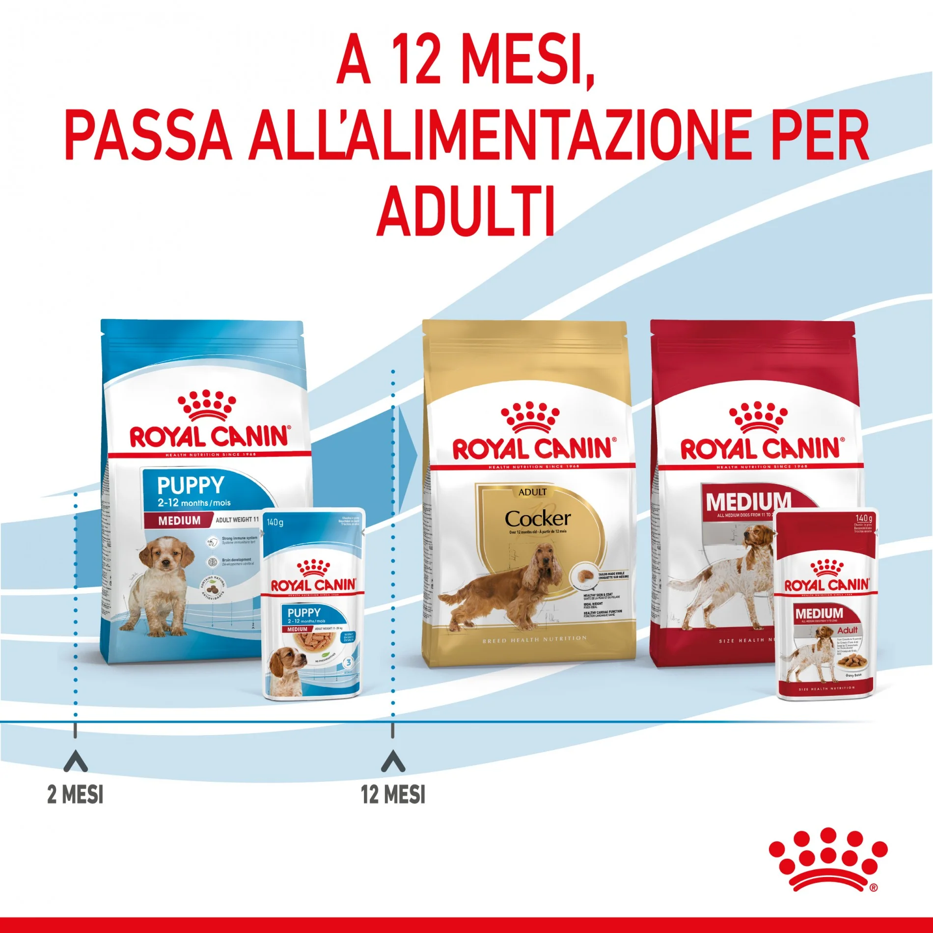 Royal Canin Medium Puppy en Sauce - Pâtée pour chiot – Image 9