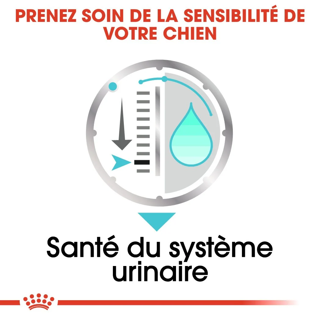 Royal Canin Urinary Care - Pâtée pour chien – Image 5