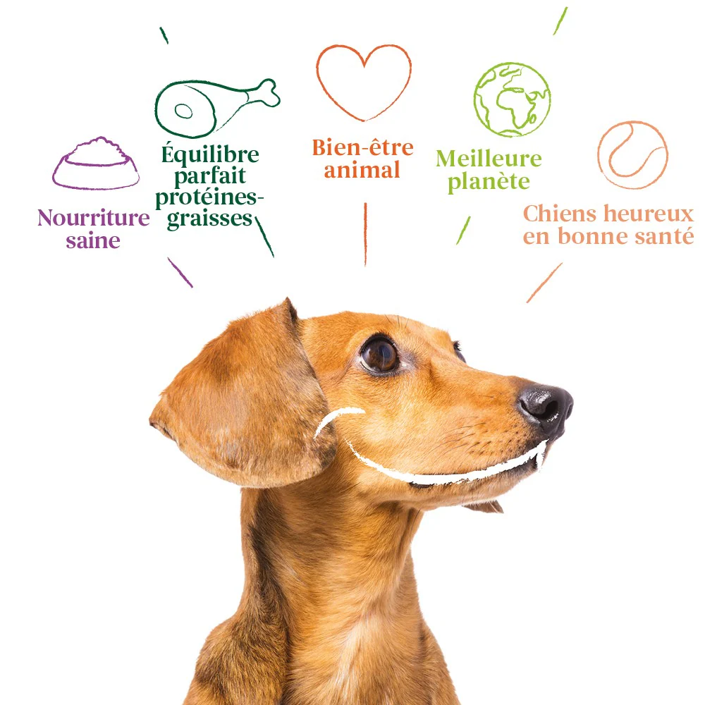 Yarrah pâtées bio - 12 x 150 g – Image 5