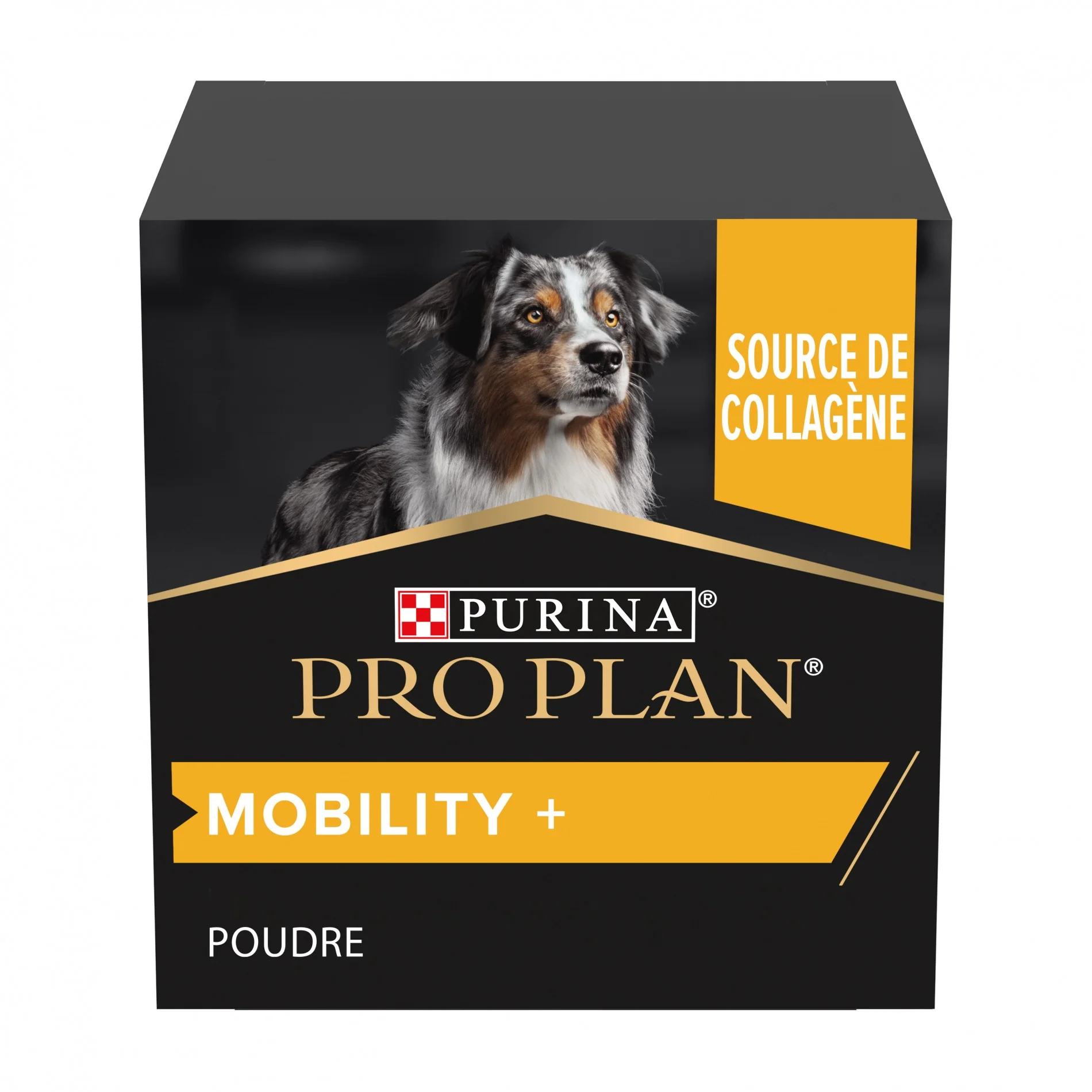 PRO PLAN Mobility+ en poudre - Aliment complémentaire pour chien – Image 7