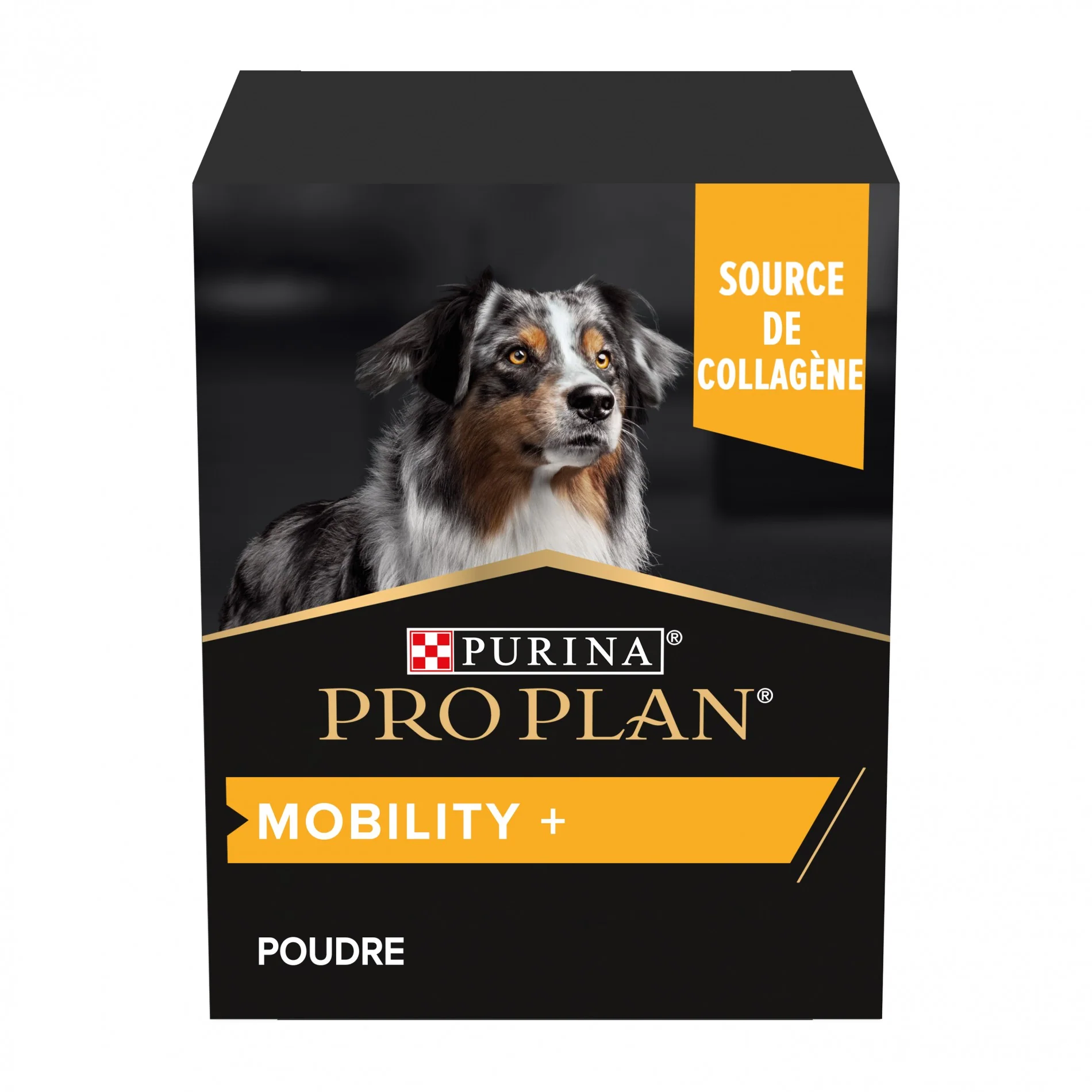 PRO PLAN Mobility+ en poudre - Aliment complémentaire pour chien – Image 4