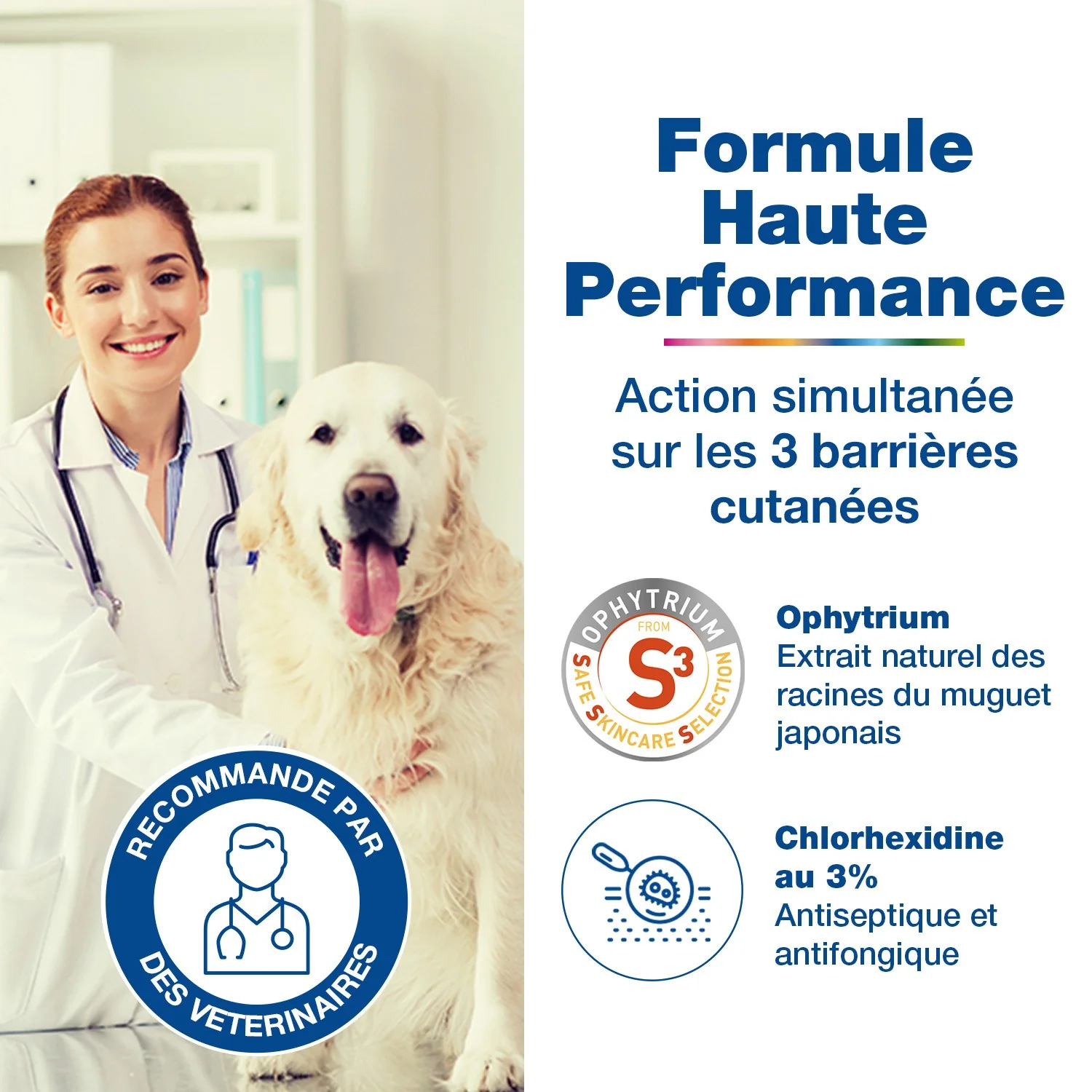 Douxo S3 Pyo Shampooing – Image 6