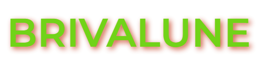 Boutique pets discount — Articles essentiels pas chers