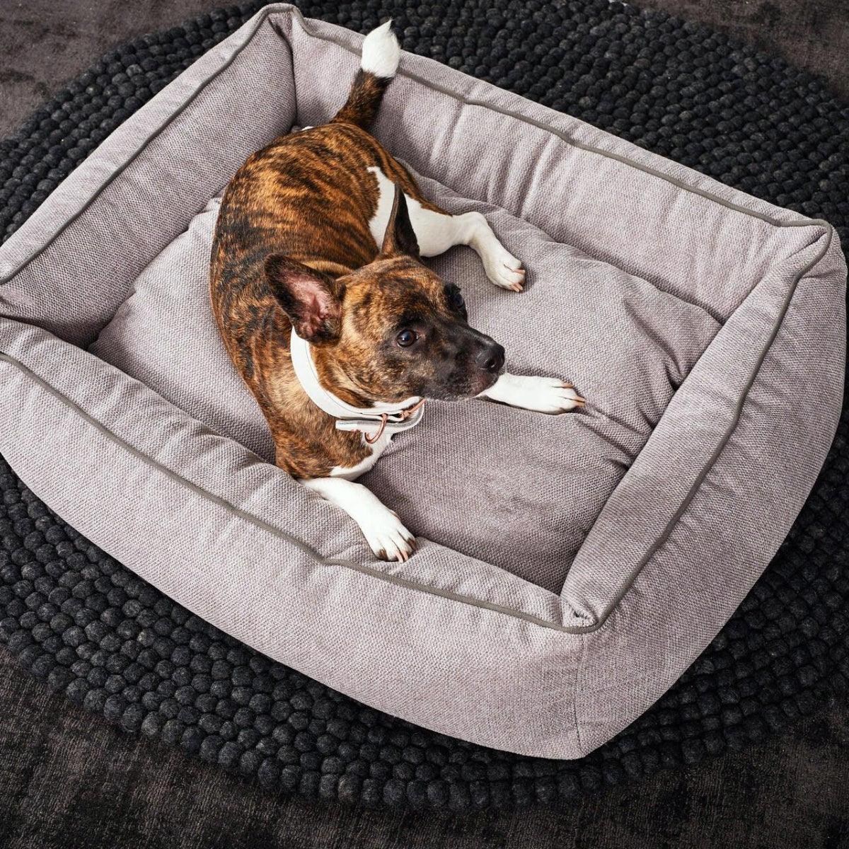 - Panier pour chien écologique - ECO – Image 4