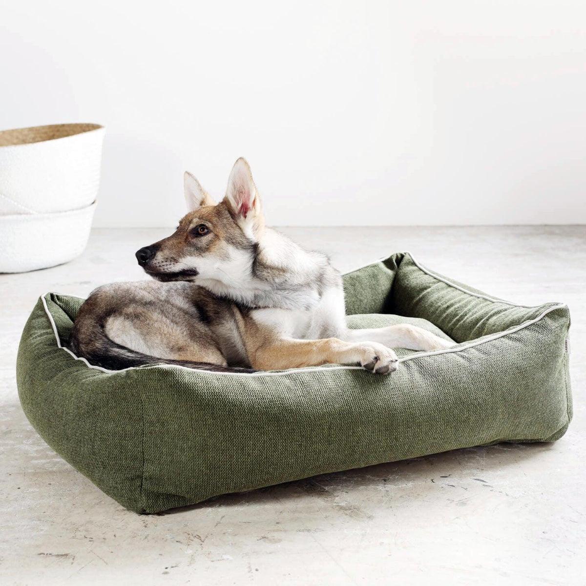 - Panier pour chien écologique - ECO – Image 6