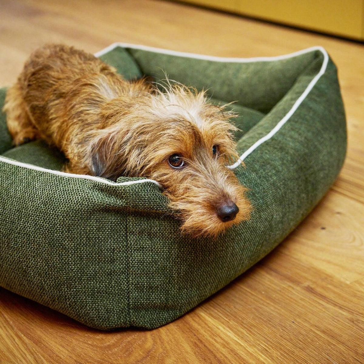 - Panier pour chien écologique - ECO – Image 5